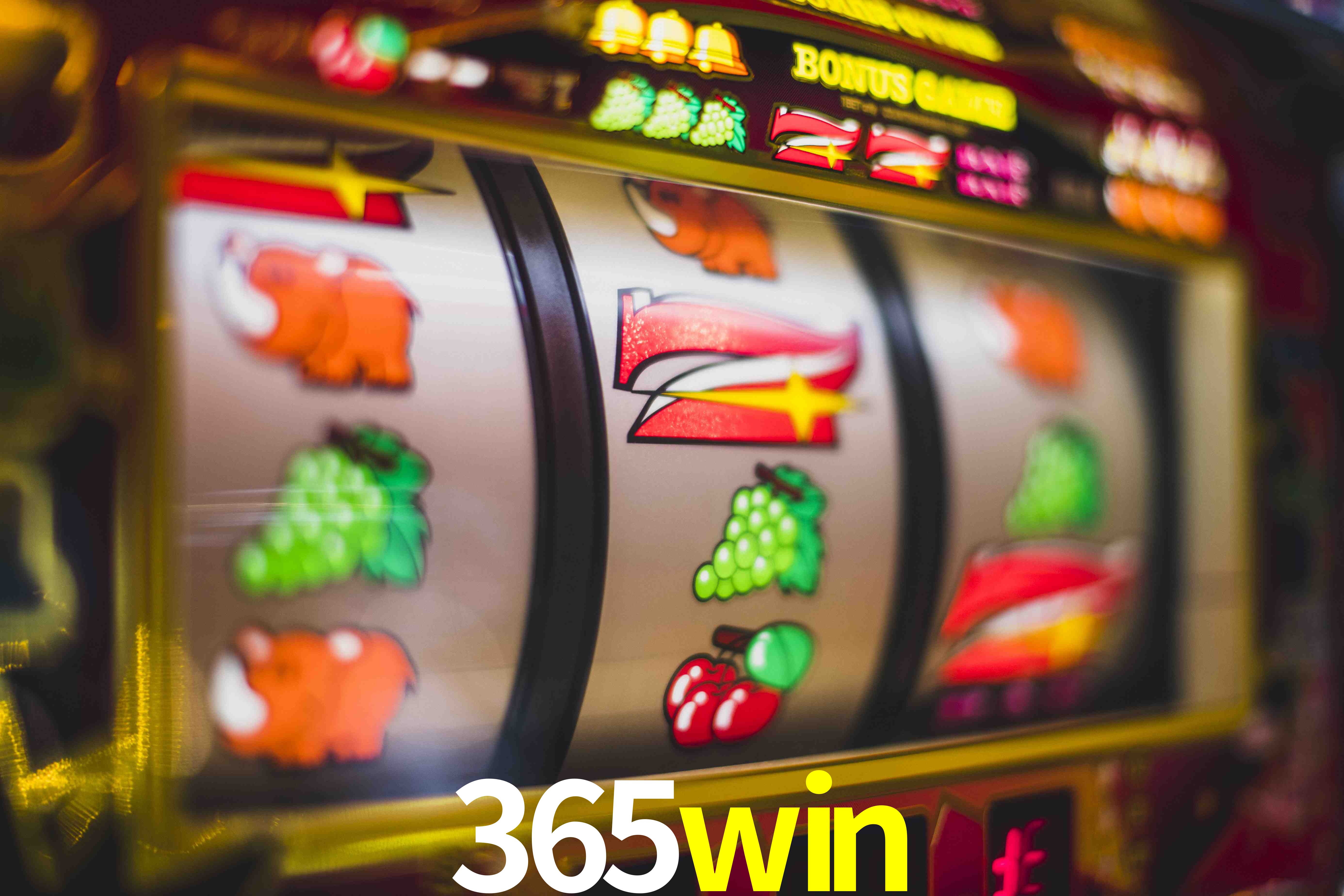 Basketball Betting 365win